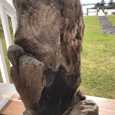 Large Yard Art / Driftwood
