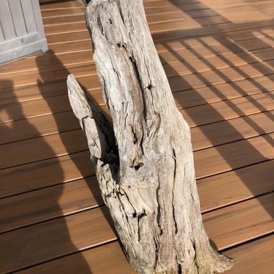 Large Yard Art / Driftwood