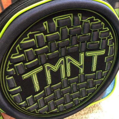 Childâ€™s Teenage Mutant Ninja Turtle Travel case with wheels