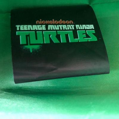 Childâ€™s Teenage Mutant Ninja Turtle Travel case with wheels