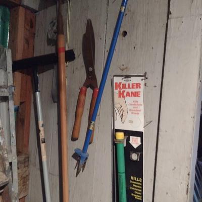 Collection of Hand Tools and Ladders (See All Pictures)