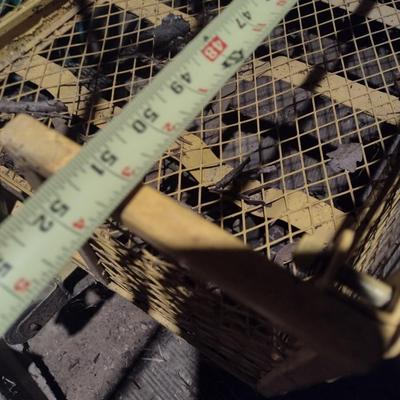 Metal Garden Pull Cart with Pnuematic Tires