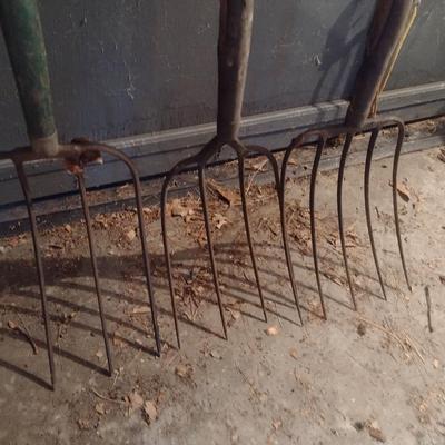 Set of Three Four Tine Pitchforks