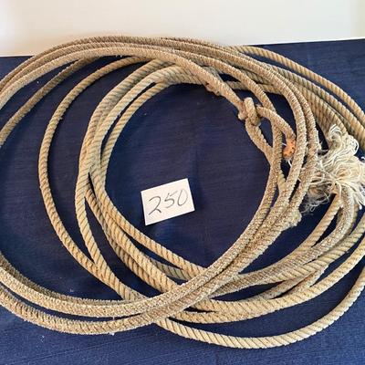 Vintage Lariat Ropes