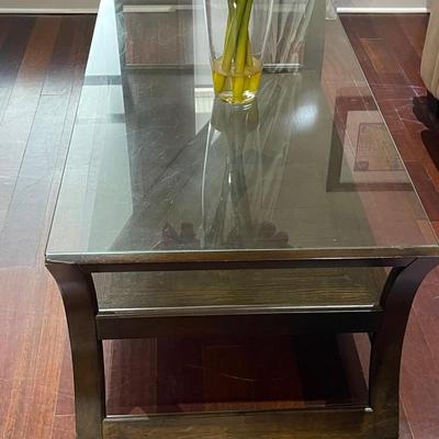 Vintage Bridge Glass and Wood Coffee Table