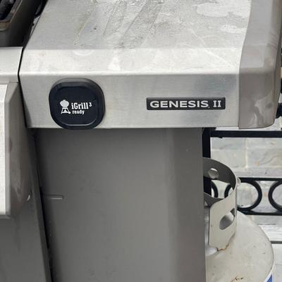 Weber Genesis II Stainless Steel BBQ Pit