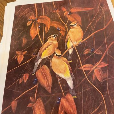 Department of Natural Resources Nature Prints