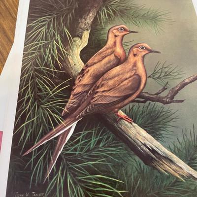 Department of Natural Resources Nature Prints