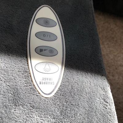 Sharper Image - Warming Backrest Massager - Tested