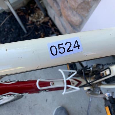 Diamondback Mountain Bike