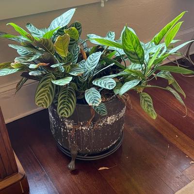 Artificial Plant in Brass Pot on Wheels