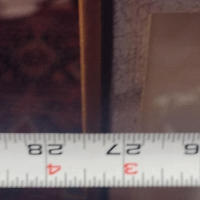 Framed Print- 'Young Trees' by Wilbur Streech