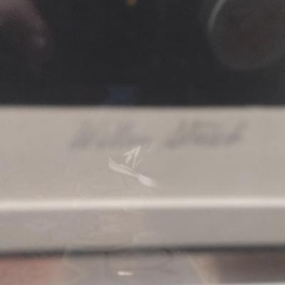 Framed Print- 'Young Trees' by Wilbur Streech