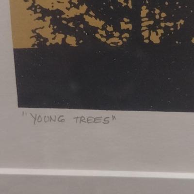 Framed Print- 'Young Trees' by Wilbur Streech