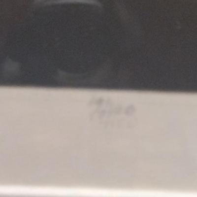 Framed Print- 'Young Trees' by Wilbur Streech