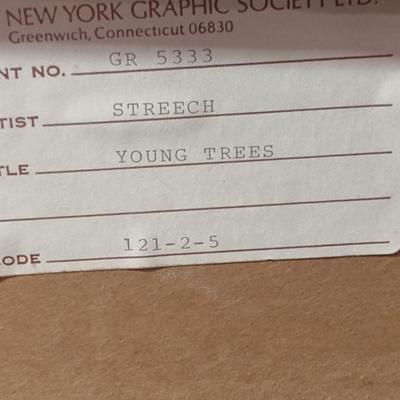 Framed Print- 'Young Trees' by Wilbur Streech