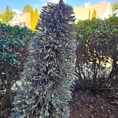 Fairy Yard Statuettes. Topiaries and More (BY-DW)