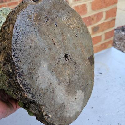 Fairy Yard Statuettes. Topiaries and More (BY-DW)