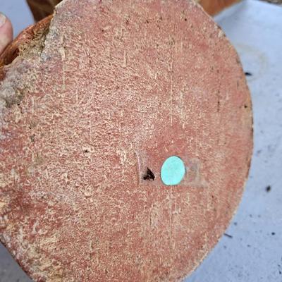 Fairy Yard Statuettes. Topiaries and More (BY-DW)