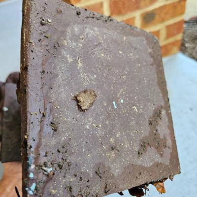 Fairy Yard Statuettes. Topiaries and More (BY-DW)