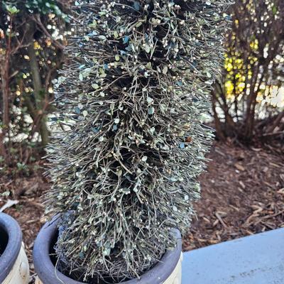 Fairy Yard Statuettes. Topiaries and More (BY-DW)