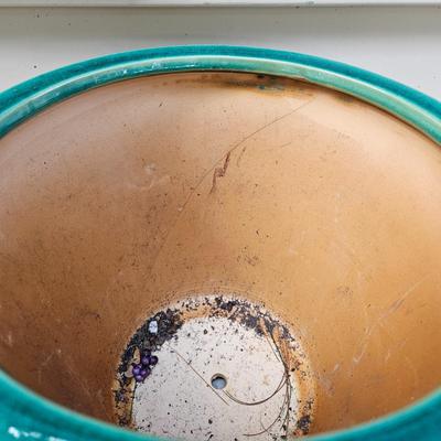 Ceramic Planters, Potting Soil, & More (BY-DW)