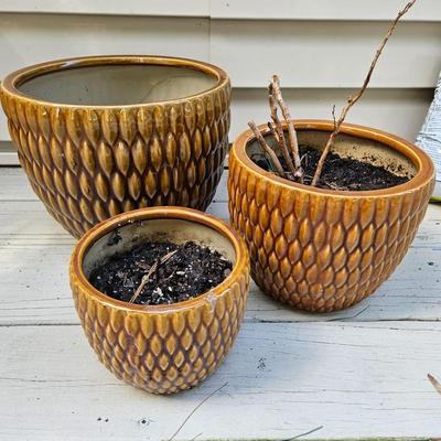 Ceramic Planters, Potting Soil, & More (BY-DW)