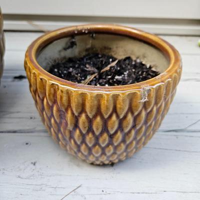 Ceramic Planters, Potting Soil, & More (BY-DW)