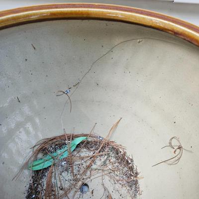 Ceramic Planters, Potting Soil, & More (BY-DW)