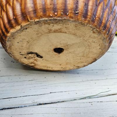 Ceramic Planters, Potting Soil, & More (BY-DW)