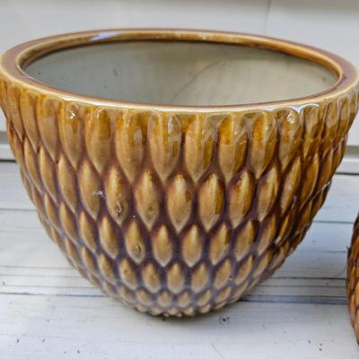 Ceramic Planters, Potting Soil, & More (BY-DW)