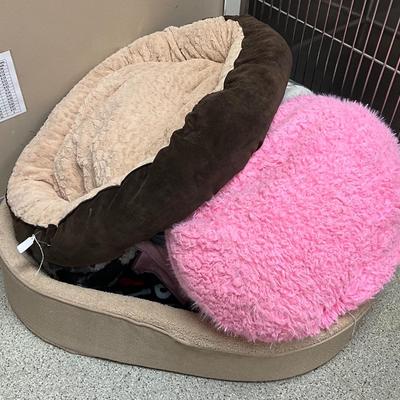 5 Total Dog Beds with Blankets