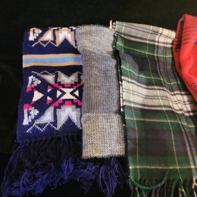 Winter Scarves, Hats, Gloves and More (PC-CE)