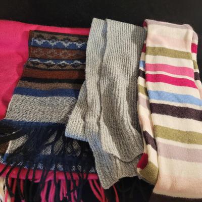 Winter Scarves, Hats, Gloves and More (PC-CE)