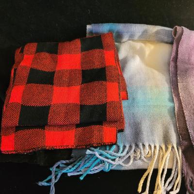 Winter Scarves, Hats, Gloves and More (PC-CE)