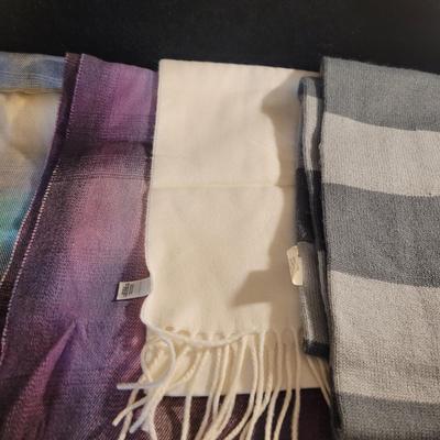 Winter Scarves, Hats, Gloves and More (PC-CE)