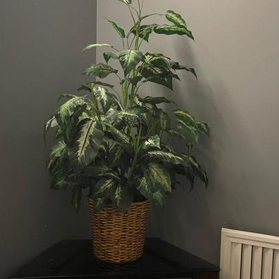 Large Dieffenbachia Artificial Plant in Wicker Basket