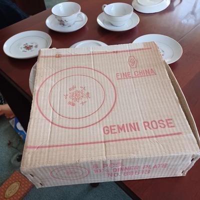 15 pc gemini rose dinner set