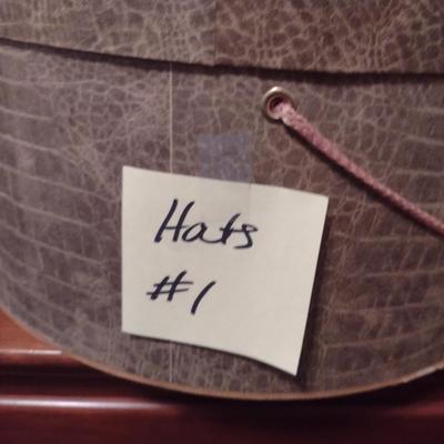 Collection of Ladies Hats and Hat Boxes (#1)