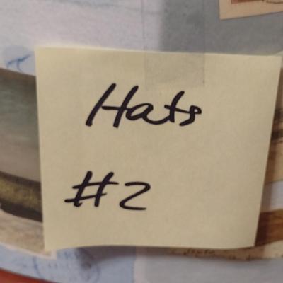 Collection of Ladies Hats and Hat Boxes (#2)