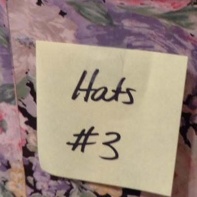 Collection of Ladies Hats and Hat Boxes (#3)