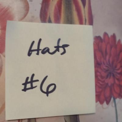 Collection of Ladies Hats and Hat Boxes (#6)