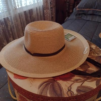 Collection of Ladies Hats and Hat Boxes (#6)