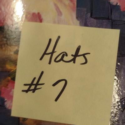 Collection of Ladies Hats and Hat Boxes (#7)