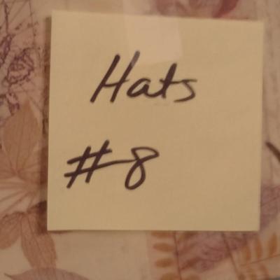 Collection of Ladies Hats and Hat Boxes (#8)