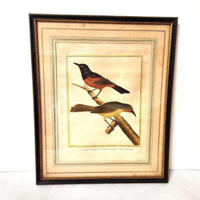 Lot #101 Originaly 18th Century Hand Colored Copper Plate Engraving (Martinet) - Redwinged Blackbird