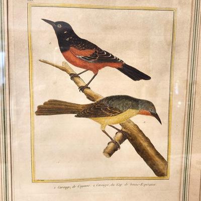 Lot #101 Originaly 18th Century Hand Colored Copper Plate Engraving (Martinet) - Redwinged Blackbird