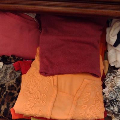 Large Collection of Ladies Clothing and Shoes (B)