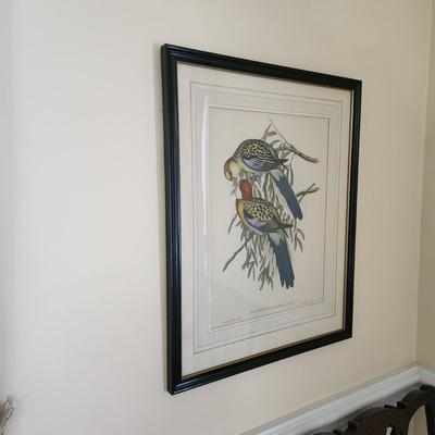 2 J Gould & H.C. Richter Framed Art Birds 21x27