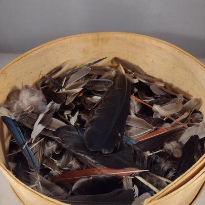 Marshall Fields Wooden Cheese Box Filled with Bird's Feathers